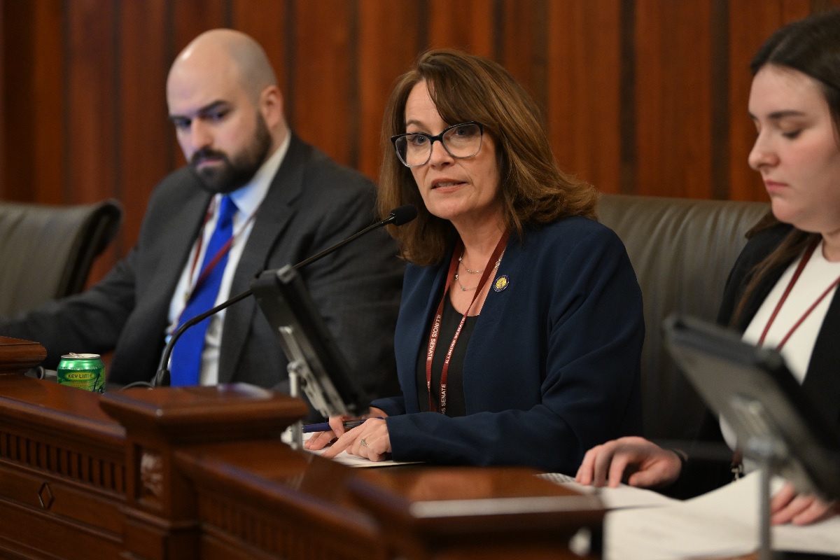 State Senator Meg Loughran Cappel speaks in a committee