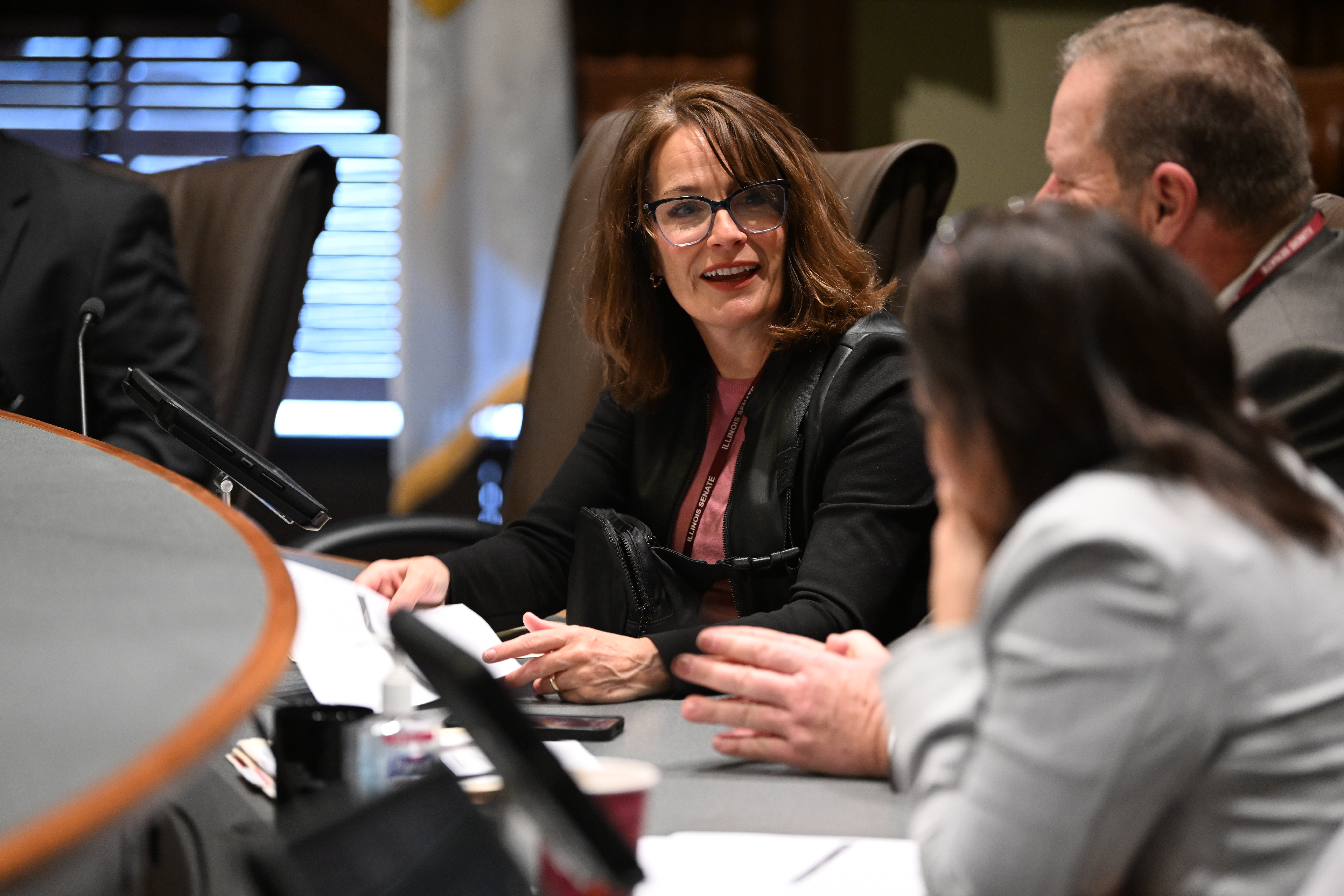 State Senator Meg Loughran Cappel speaks to colleagues in a committee