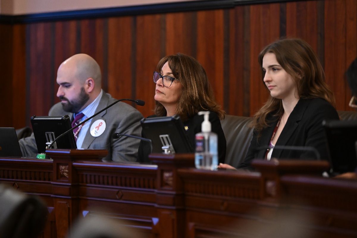 State Senator Meg Loughran Cappel in a committee