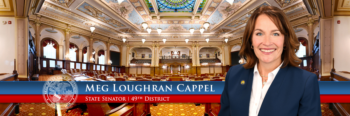 Illinois State Senator Meg Loughran Cappel